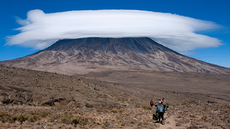 Tailor-Made Tour Packages